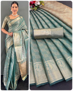 Copper Gold Tissue Silk Saree with Kanchi Border | Bollywood Style Look