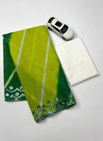 Plain Linen Saree with Mirror & Digital Print Work + Bangalory Satin Blouse