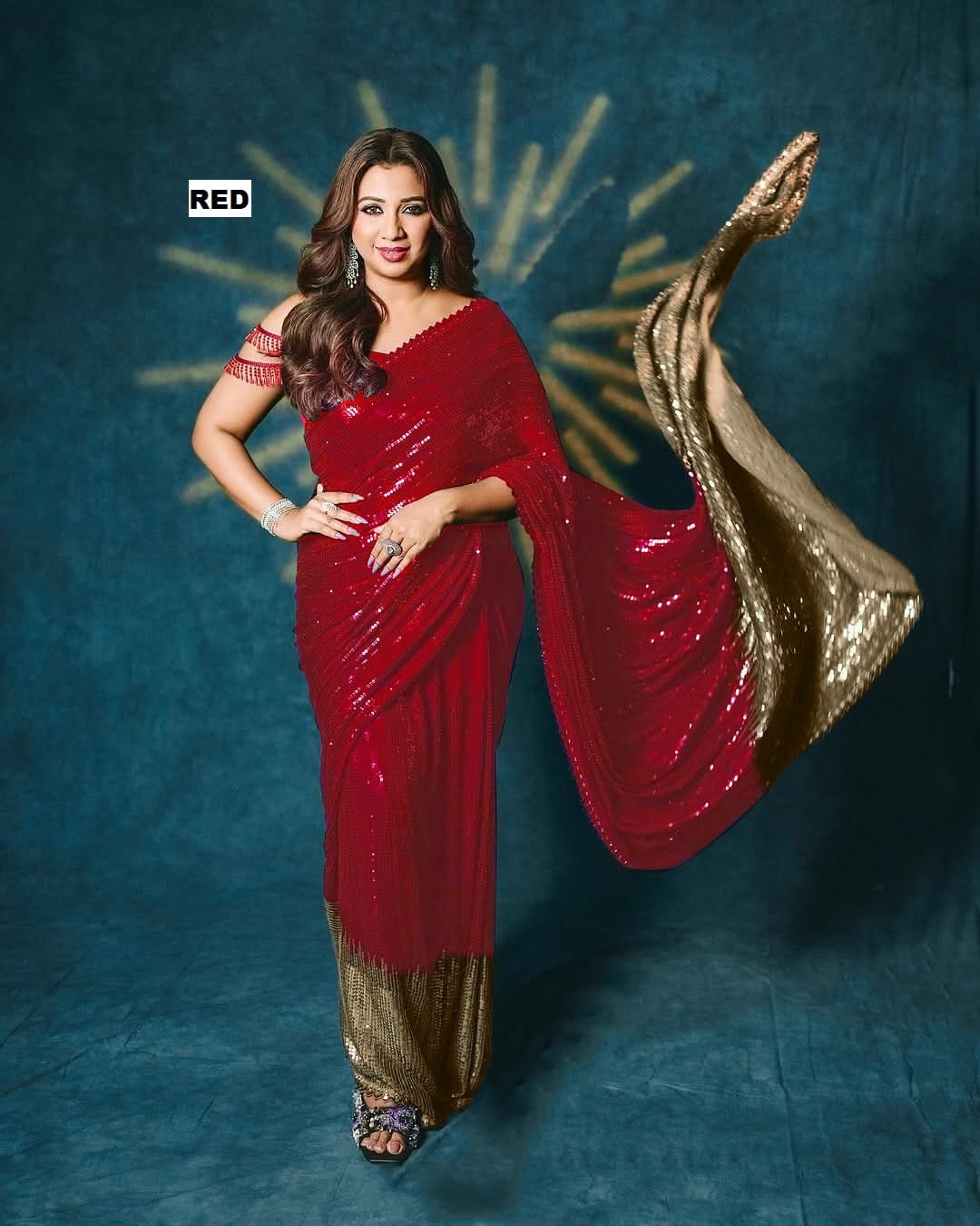Bollywood Blockbuster Sequin Design Georgette Saree with Cutwork Lace Border